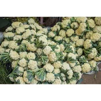 Frozen Cauliflower (39)-3862380-43412.webp